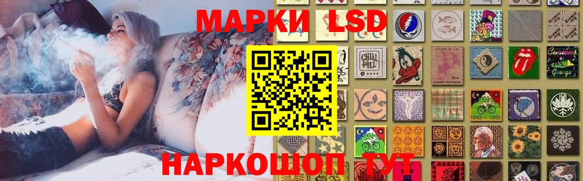 Конопля Кинель