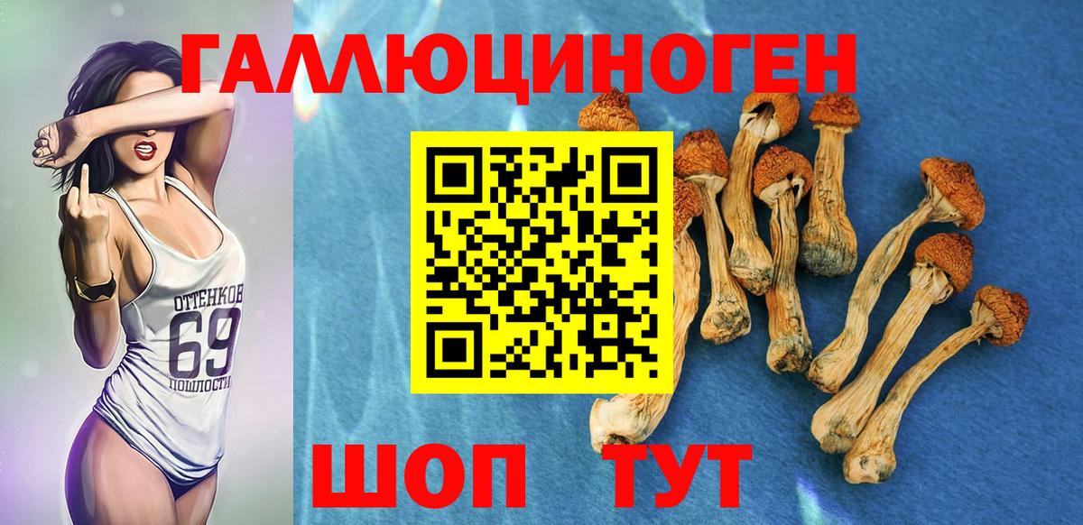 Кинель  Галлюциногенные грибы мицелий  Вход с VPN  Галлюциногенные грибы Cubensis 